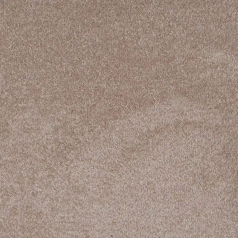 Preiswert Teppichboden Patina