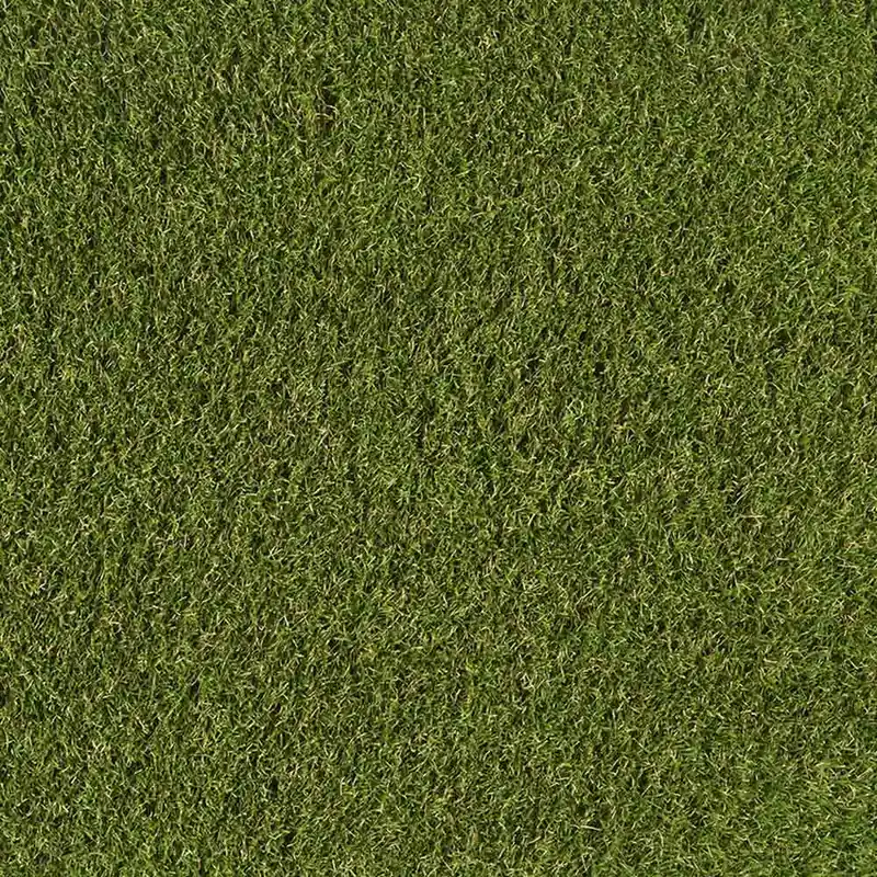Sonderaktion Kunstrasen Poppy Green