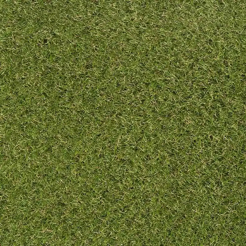 Kunstrasen Talia Green Neu