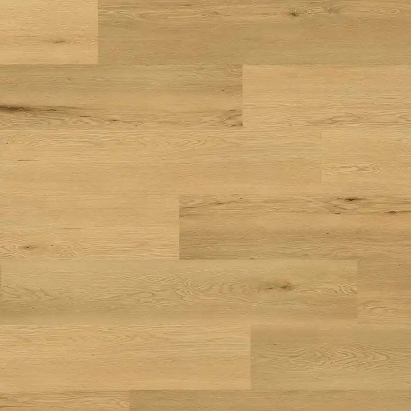 Ter Hürne Design Comfort SOYA LHD XL Finale Aktion