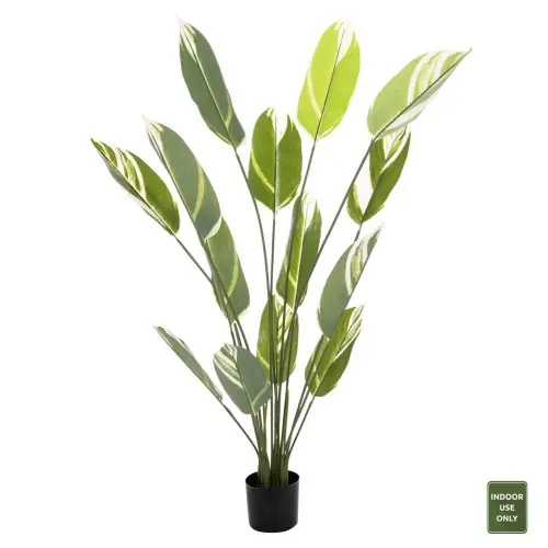 DEKORATIVE SYNTHETISCHE PFLANZE IM TOPF CALATHEA 140Hcm Top-Preis