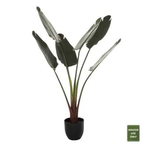 DEKORATIVE SYNTHETISCHE PFLANZE IM TOPF STRELITZIACEAE 115Hcm Beliebt