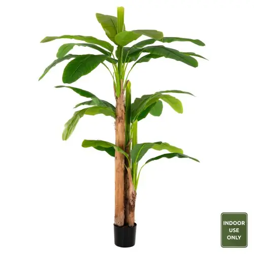 Preis Gesenkt DEKO BANANENBAUM IM TOPF 200 cm
