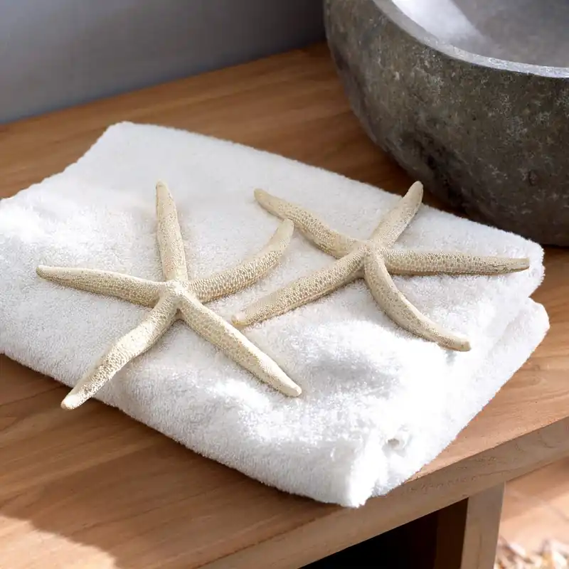 Seesterne 2er Set Starfish Zertifiziert