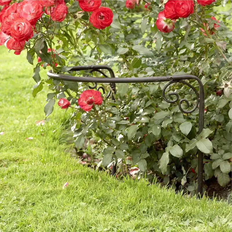 Sichere Zahlung Rosenstütze Cunfin