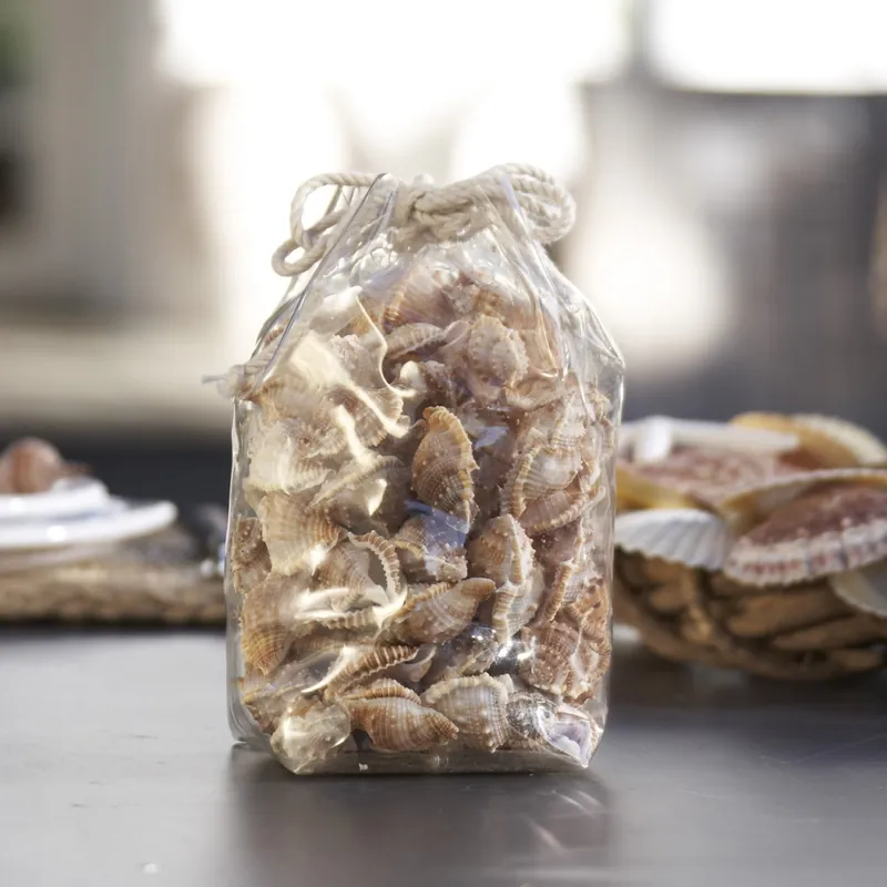 Deko-Muscheln Crumpet Preiswert