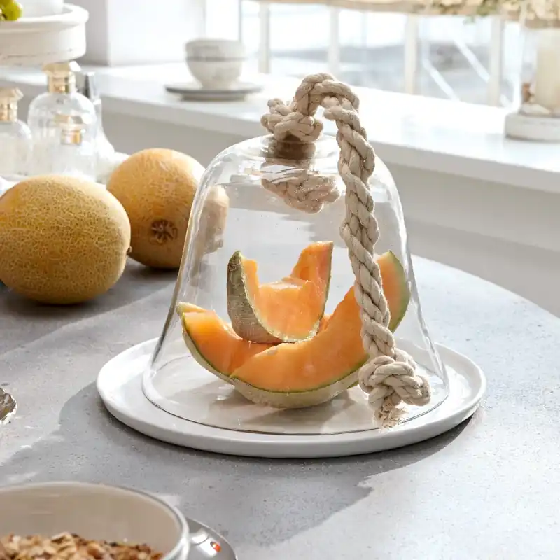 Sofort Bestellen Glasglocke Ginger