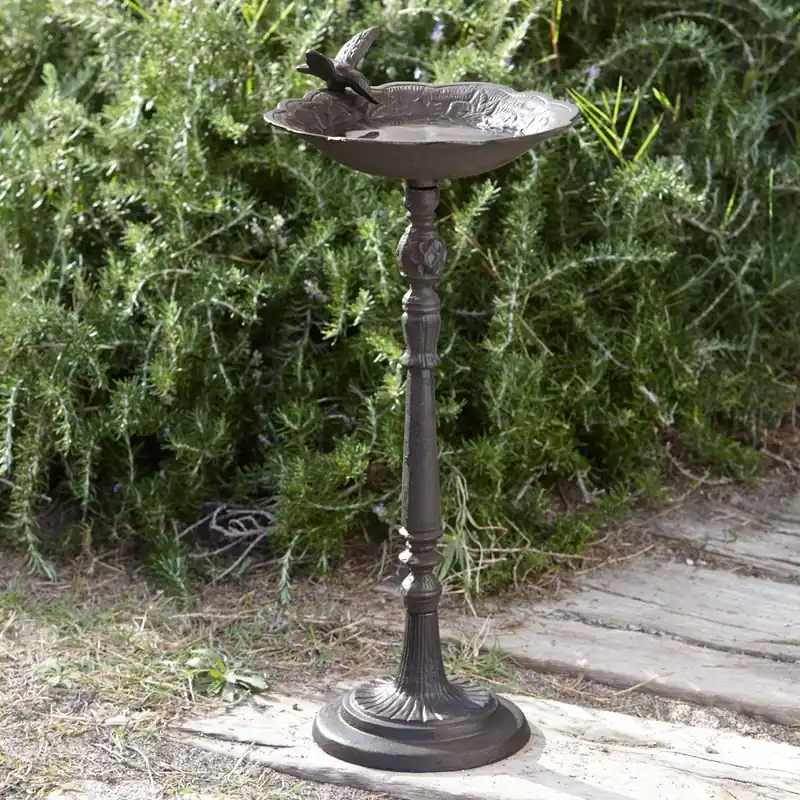 Vogeltränke Pinella Nur Heute
