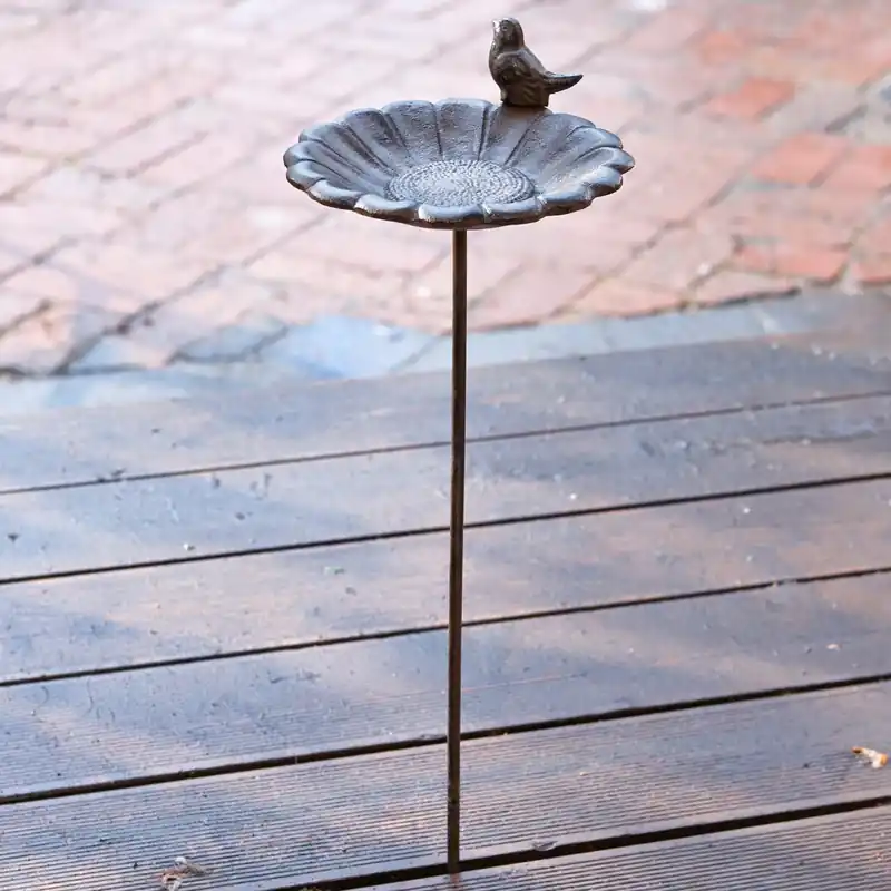 Echt Vogeltränke Finch