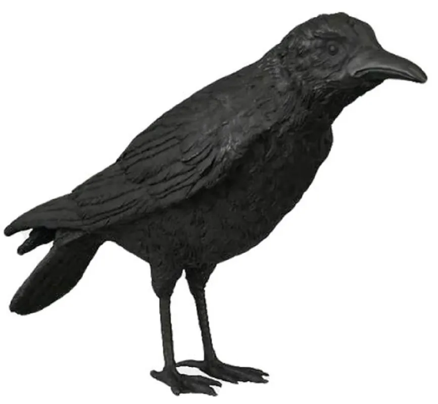 Geprüft Casa Padrino sculpture de luxe en bronze oiseau corbeau noir 61 x 15 x H. 30 cm - Décoration figurine - Décoration salon - Décoration bureau