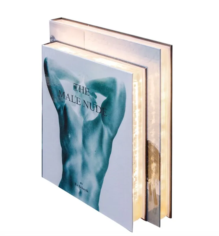 Casa Padrino lampada da tavolo di lusso nella progettazione del libro maschi 31 x 7,5 x H. 26,5 cm - LED Lampada da Tavolo Sonderaktion