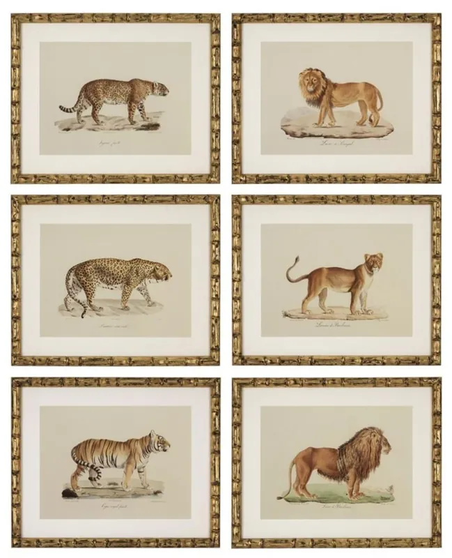 Knallerangebot Casa Padrino Set di Immagini Lion Tiger Jaguars Oro Antico 54 x H. 44 cm - Decorazione Murale di Lusso