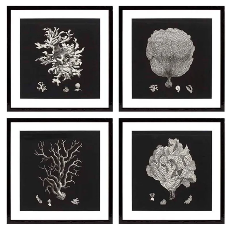 Preis Gesenkt Casa Padrino Immagini / Stampe d'Arte Set di 4 Coralli Nero 64 x H. 64 cm - Decorazione di Lusso