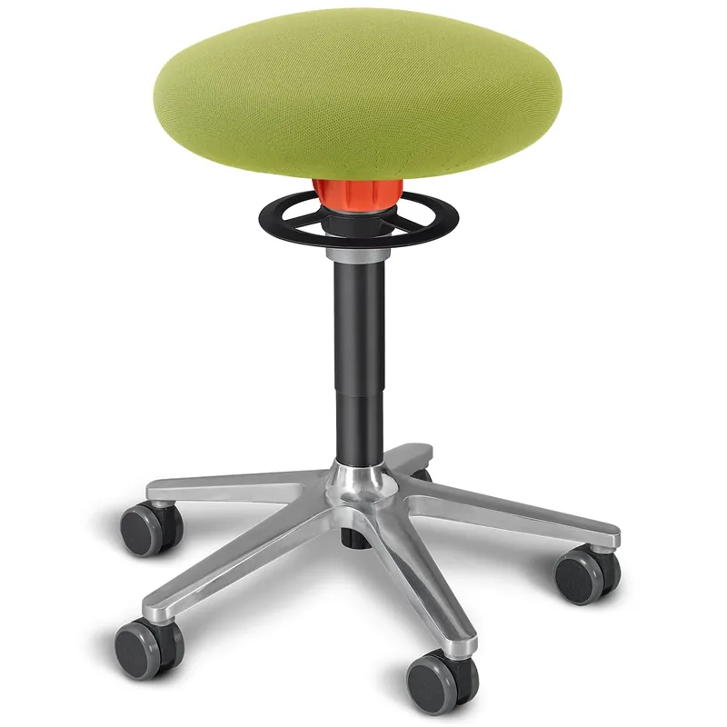 Ongo® Roll (Classic) von ongo - living motion Zertifiziert
