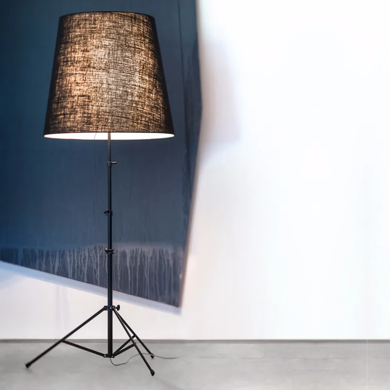 Gilda Black von pallucco Highlight