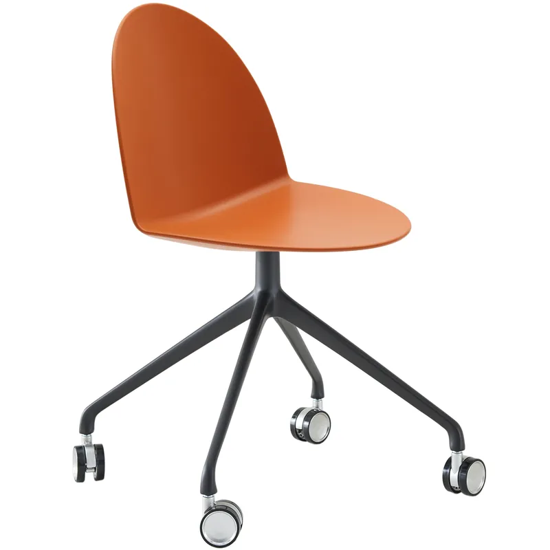 Camel (Rollen) von segis Highlight