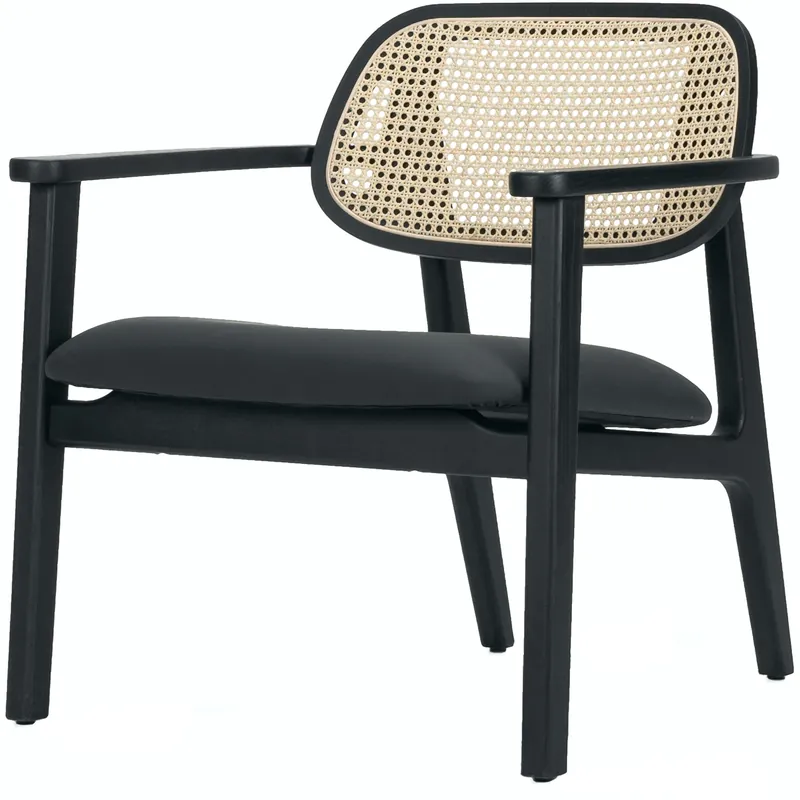 Titus Lounge Chair von Vincent Sheppard Expressversand