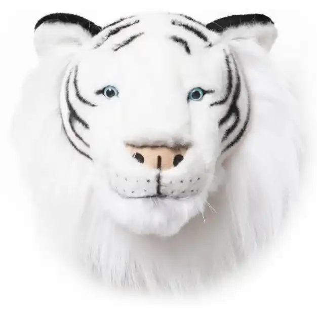 Knallerangebot Albert von Wild & Soft